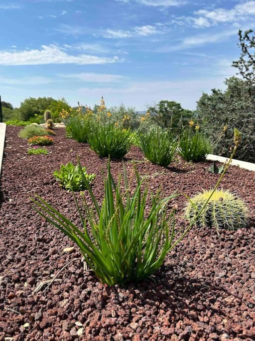 Sous Le « Figuier » Villa Cornillon-Confoux Bagian luar foto